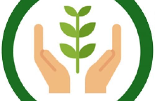 Sustainability Icon
