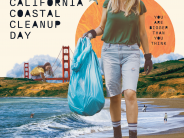 coastal clean up 2023