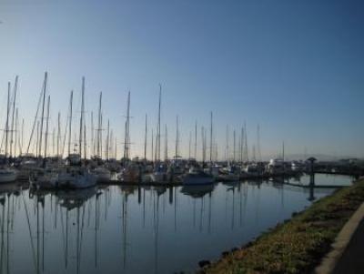 View of Boats Docked in the Marina